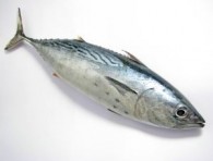 pescado-azul-embarazadas